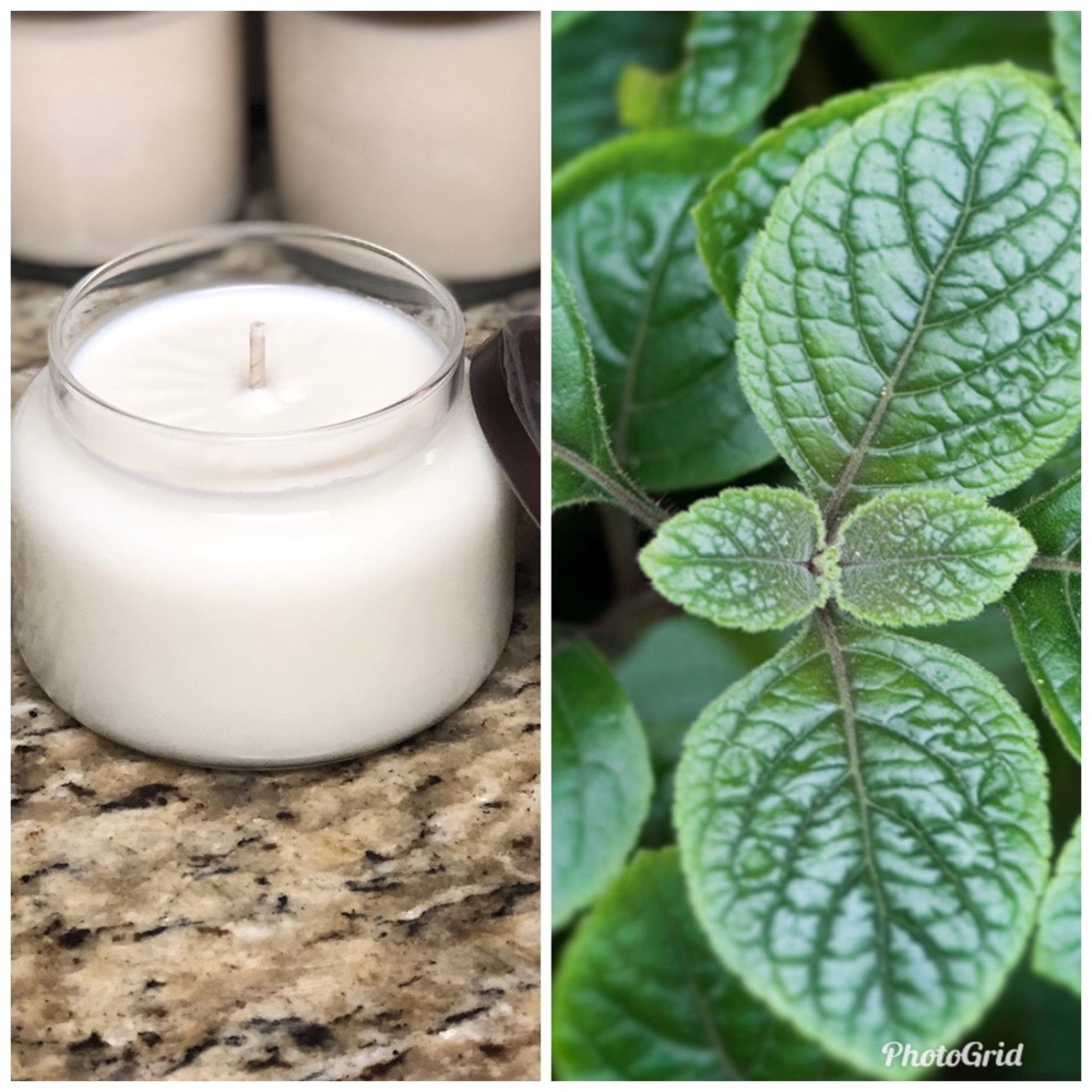 Garden Mint Soy Candle